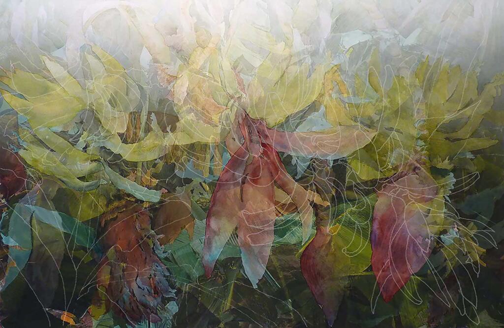 Christine Neill - Disappearing Cavendish