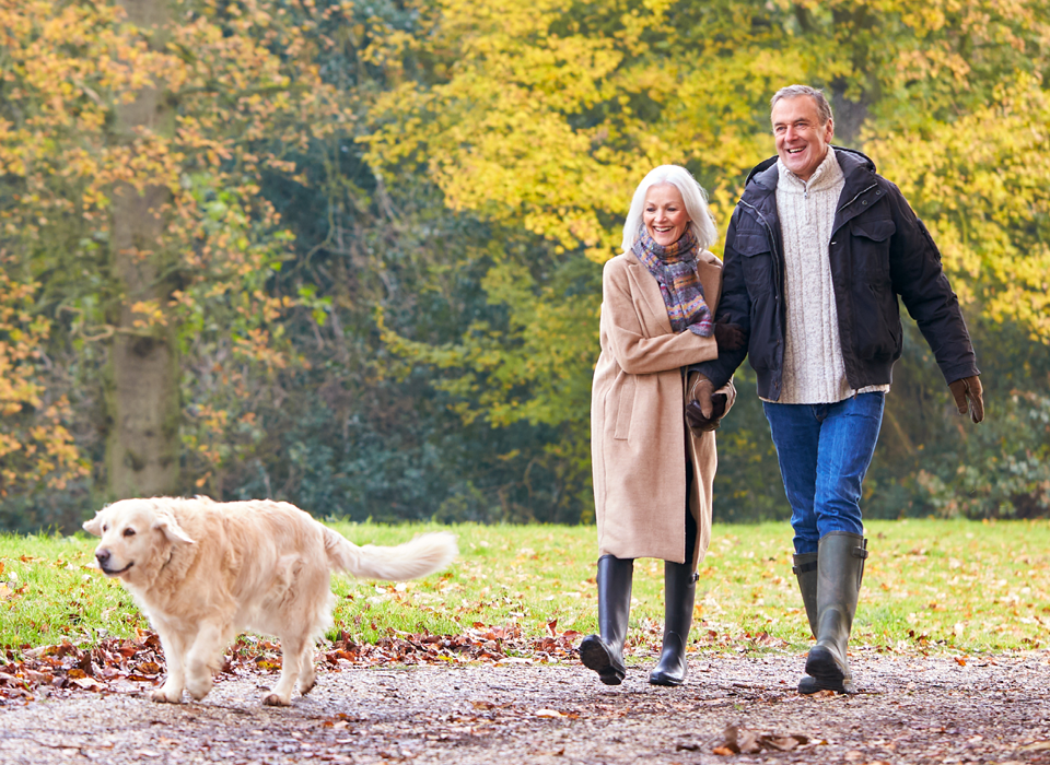 A couple walking their dog on a Fall day.