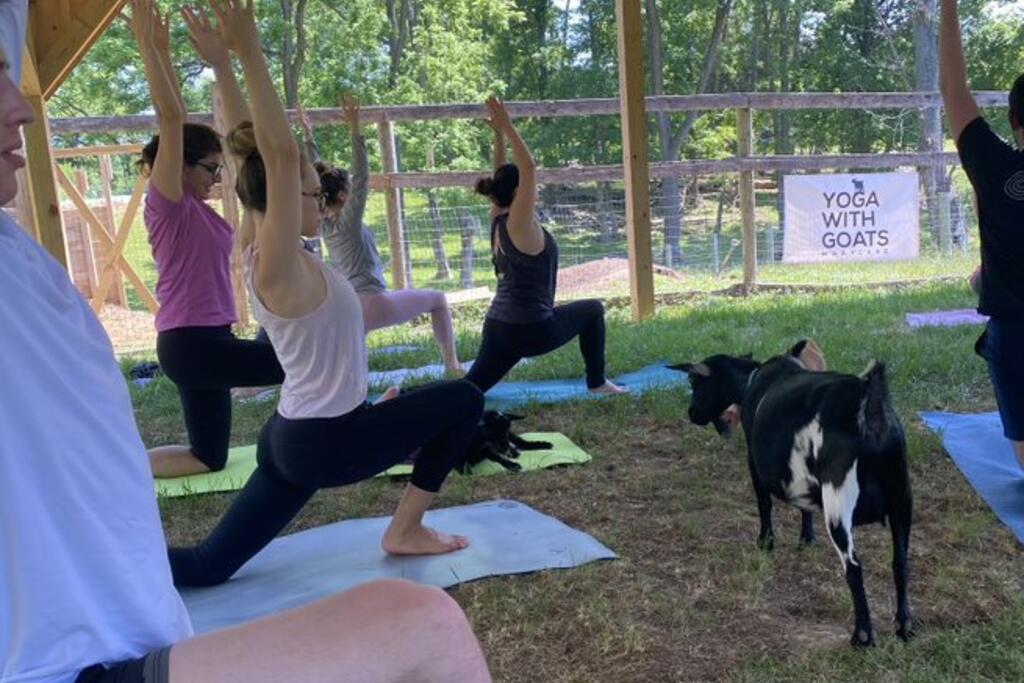 General Surgery Resident Life