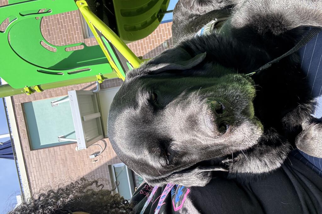 Manny, the four-legged companion at Center for Hope, takes a break from playtime and rests in the lap of his caregiver.