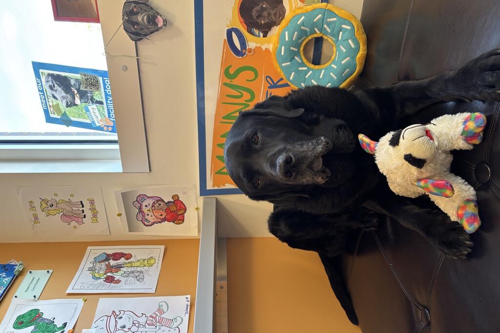 Manny, the four-legged companion at Center for Hope, sits in his corner with a lamb toy between his front paws.