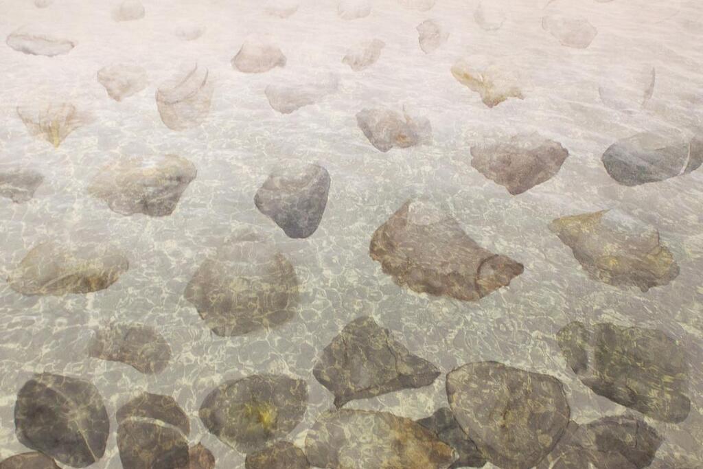 Christine Neill art preview