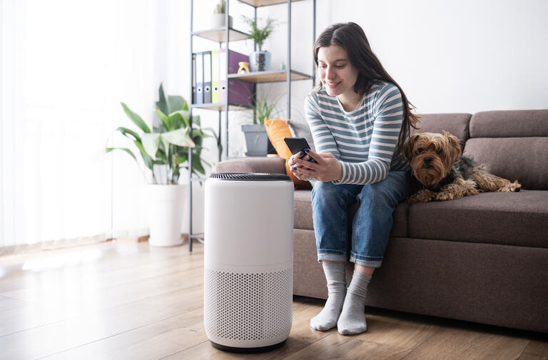 Air Purifier in a living room with a dog