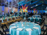 2025 Ball Picture