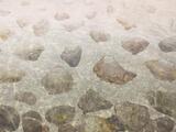 Christine Neill art preview