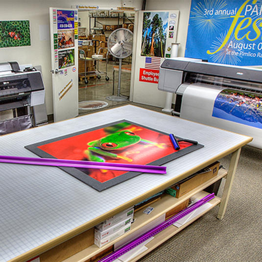 VSP Printing Services