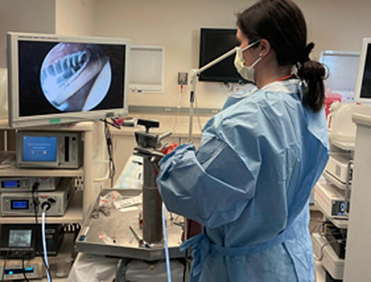 Physician getting education using a scope Physician getting education using a scope