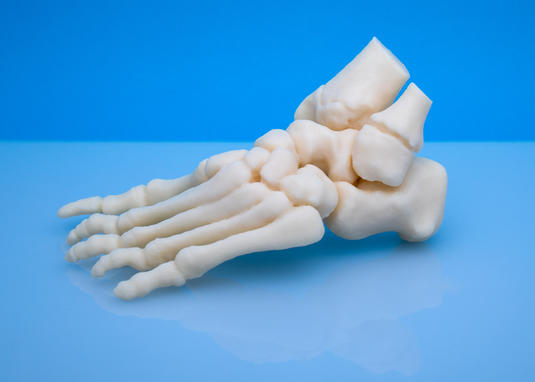 A 3D printed foot bone structure