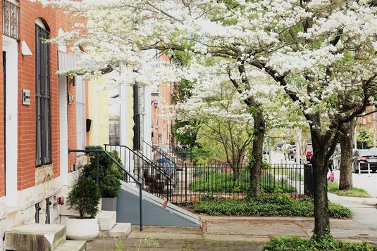 A row of homes in a Baltimore neigborhood.