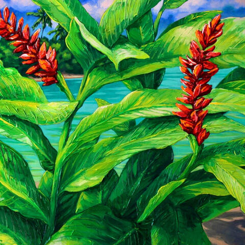 Caz Novak - Tropical preview