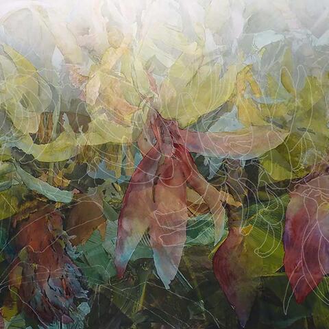 Christine Neill - Disappearing Cavendish